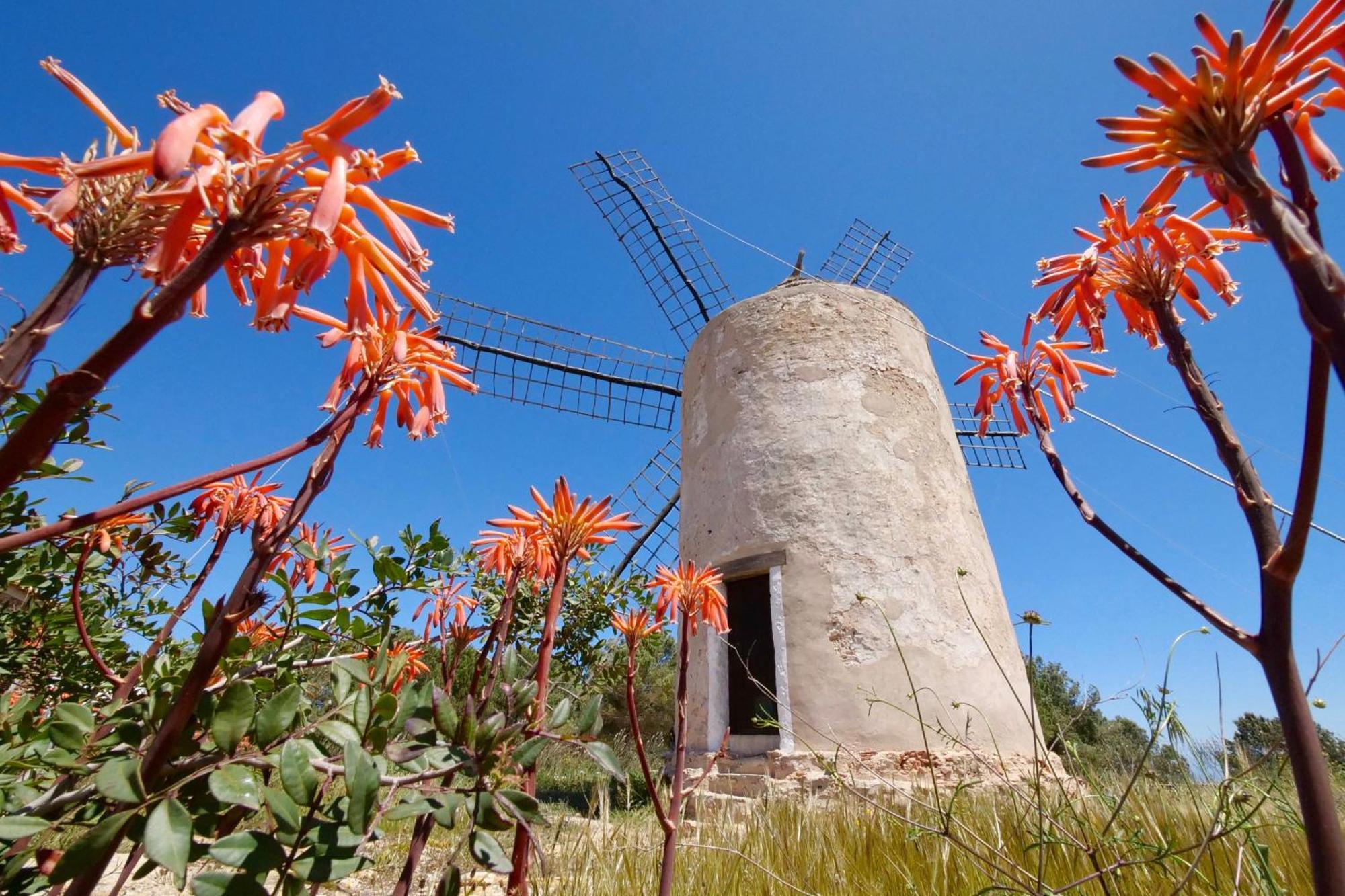 플라야미그호른 Voga Mari - Astbury Formentera 아파트 외부 사진