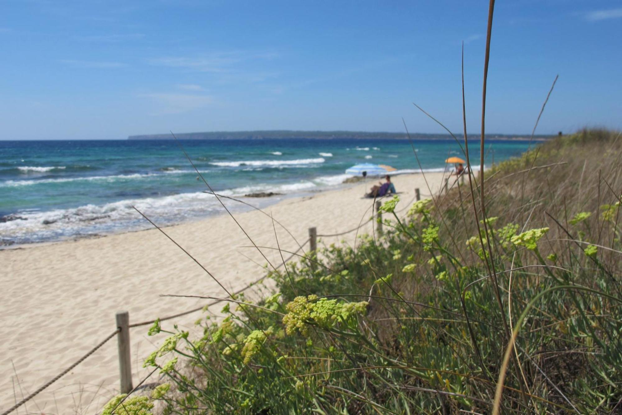 플라야미그호른 Voga Mari - Astbury Formentera 아파트 외부 사진