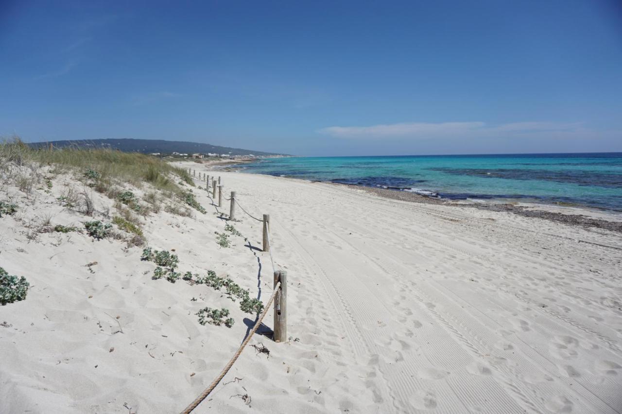 플라야미그호른 Voga Mari - Astbury Formentera 아파트 외부 사진